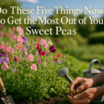 alt_text: Sweet Pea Juni memamerkan kebun penuh bunga, hasil dari hobi berkebun yang susah dihentikan.